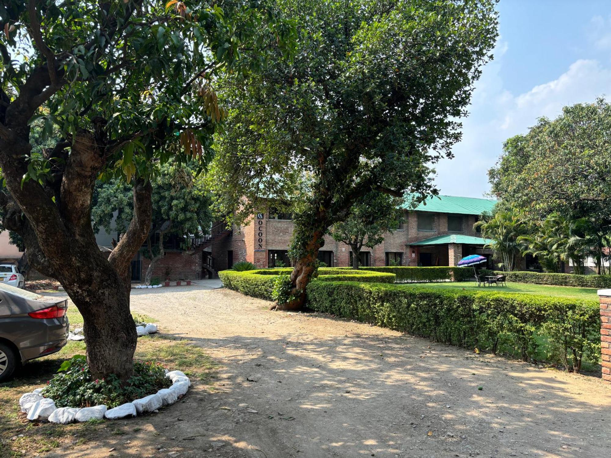 The Cocoon Bed & Breakfast Dehradun Luaran gambar