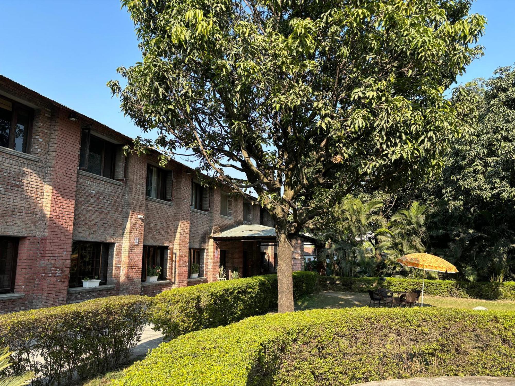 The Cocoon Bed & Breakfast Dehradun Luaran gambar