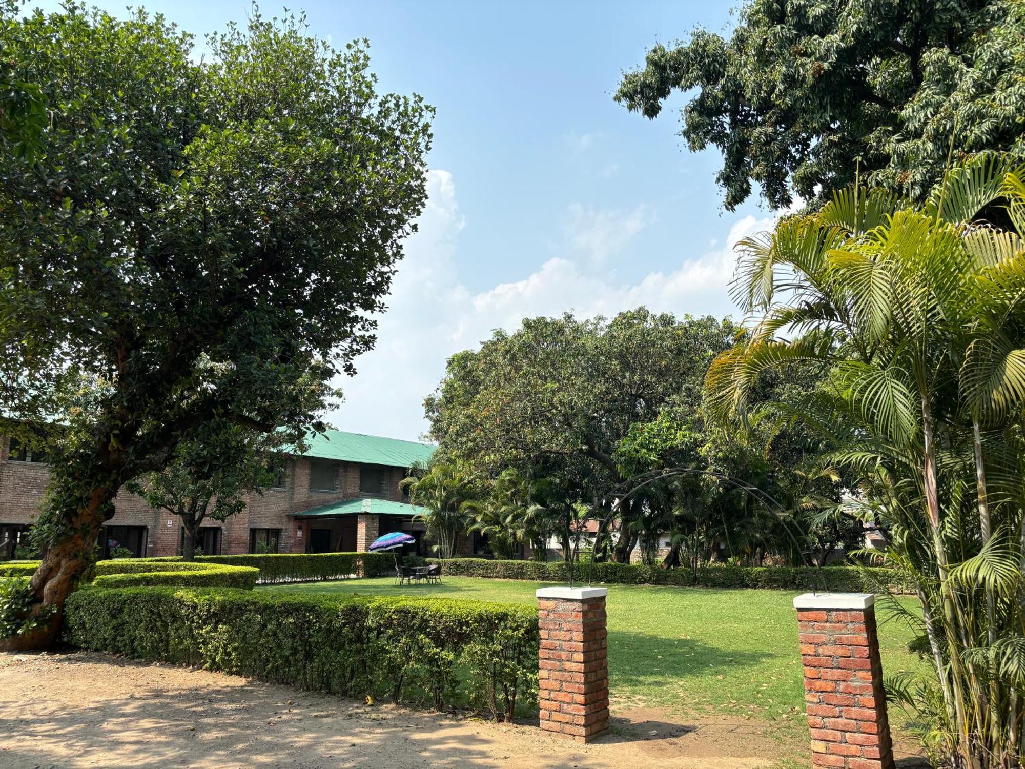 The Cocoon Bed & Breakfast Dehradun Luaran gambar